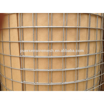 Galvanized-Welded Wire Mesh